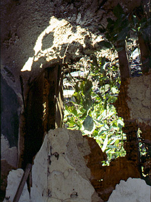 sanctuary2