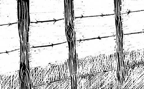 fence