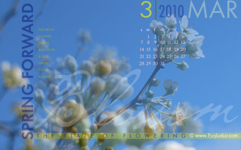 mar2010_small