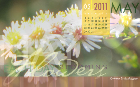 may11_small