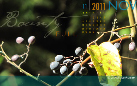 nov11_small