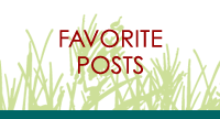 Favorite Posts
