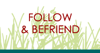 Follow & BeFriend