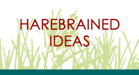 HareBrained Ideas