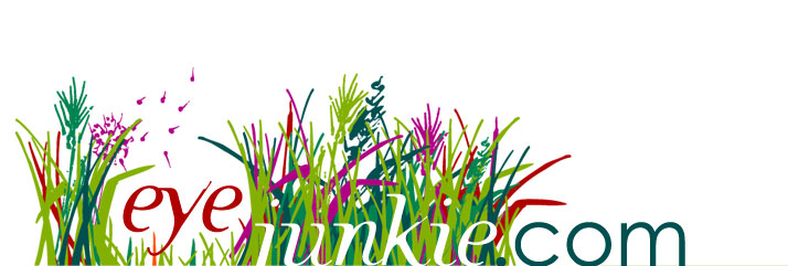 EyeJunkie.com